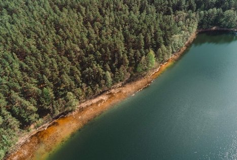 Forest Trail 52. Veisiejai – Trikojis.