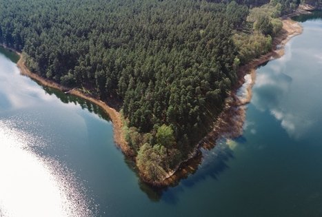 Forest Trail 52. Veisiejai – Trikojis.