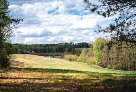 Forest Trail 52. Veisiejai – Trikojis.