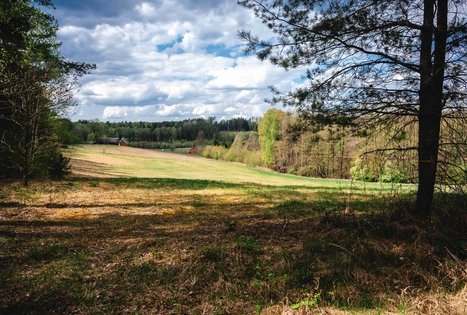 Forest Trail 52. Veisiejai – Trikojis.