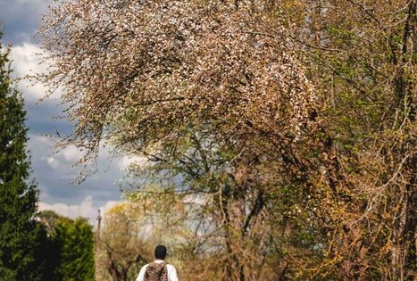 Forest Trail 53. Trikojis – Didžiasalis.