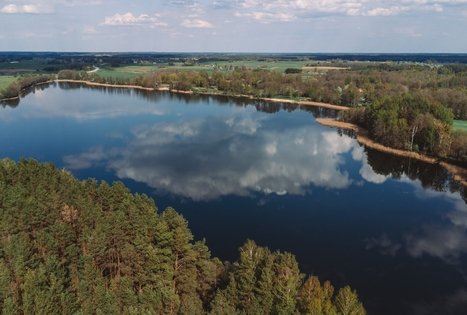 Forest Trail 53. Trikojis – Didžiasalis.
