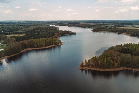Forest Trail 53. Trikojis – Didžiasalis.