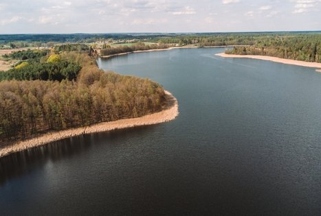 Forest Trail 53. Trikojis – Didžiasalis.