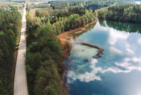 Forest Trail 53. Trikojis – Didžiasalis.