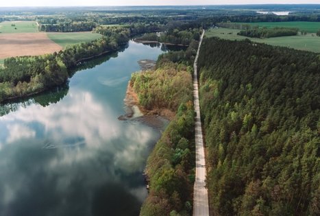 Forest Trail 53. Trikojis – Didžiasalis.