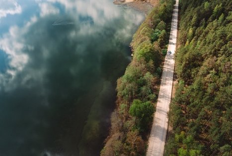 Forest Trail 53. Trikojis – Didžiasalis.