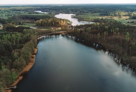 Forest Trail 53. Trikojis – Didžiasalis.