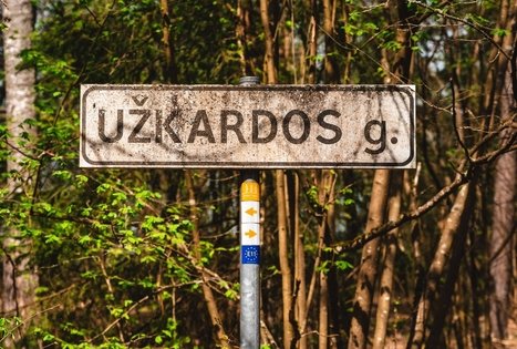 Forest Trail 53. Trikojis – Didžiasalis.