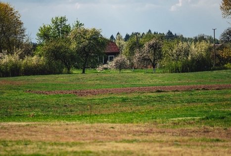 Forest Trail 53. Trikojis – Didžiasalis.