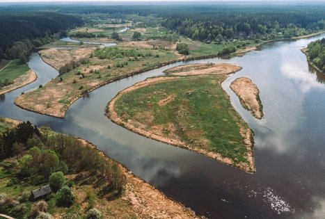 Forest Trail 55. Žiogeliai – Merkinė.