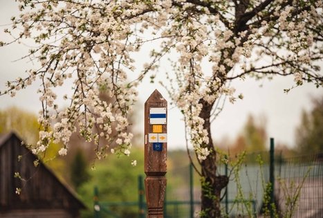 Forest Trail 55. Žiogeliai – Merkinė.