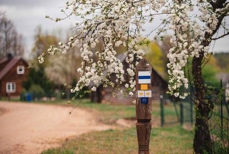 Forest Trail 55. Žiogeliai – Merkinė.