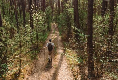 Forest Trail 55. Žiogeliai – Merkinė.