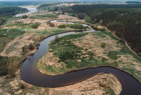 Forest Trail 55. Žiogeliai – Merkinė.