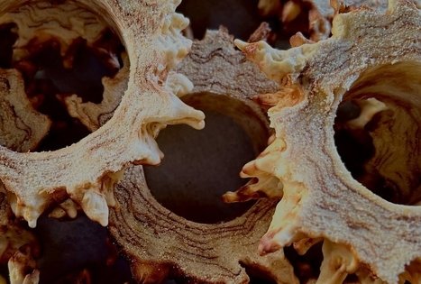 „L. Sadauskienės šakočiai“