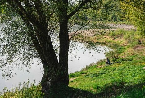 Miško Takas 57. Nemunaitis – Alytus.