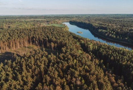 Miško Takas 57. Nemunaitis – Alytus.