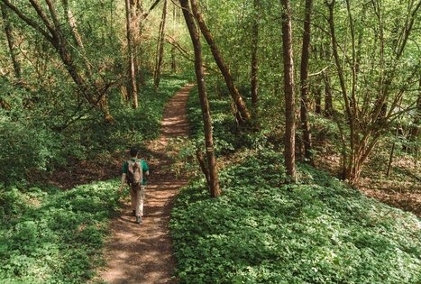 Miško Takas 57. Nemunaitis – Alytus.