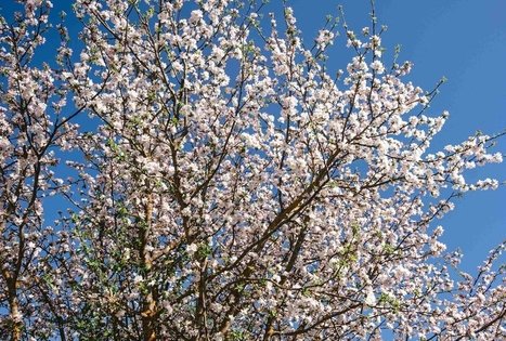 Miško Takas 57. Nemunaitis – Alytus.