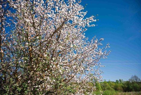 Miško Takas 57. Nemunaitis – Alytus.