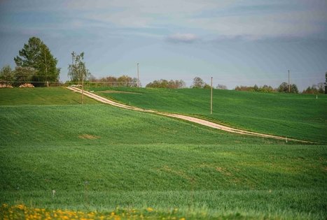 Miško Takas 58. Alytus – Panemunis.