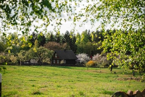 Miško Takas 58. Alytus – Panemunis.