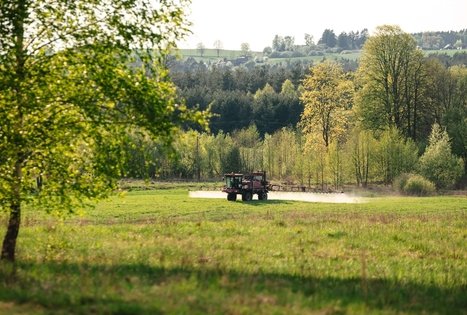 Miško Takas 58. Alytus – Panemunis.