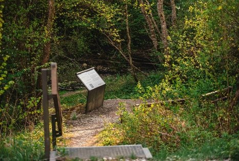 Miško Takas 58. Alytus – Panemunis.