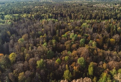 Miško Takas 58. Alytus – Panemunis.