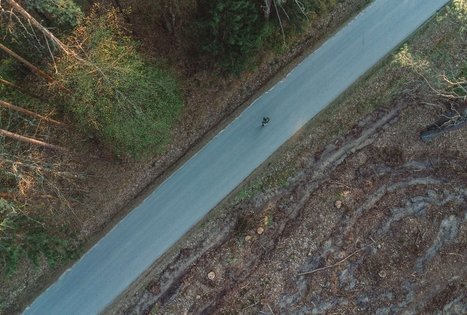 Miško Takas 58. Alytus – Panemunis.