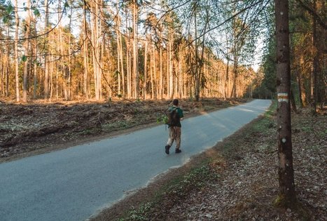 Miško Takas 58. Alytus – Panemunis.