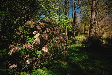 Miško Takas 58. Alytus – Panemunis.