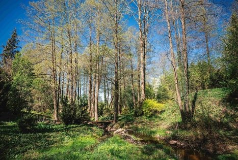 Miško Takas 58. Alytus – Panemunis.