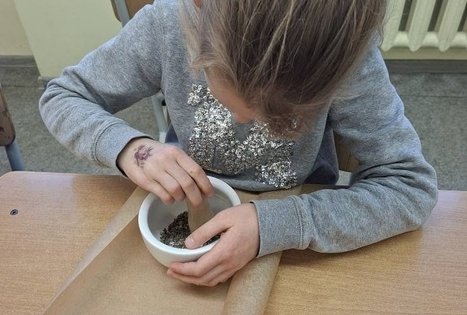 Prieskoninių augalų ir arbatų mišinių gamyba