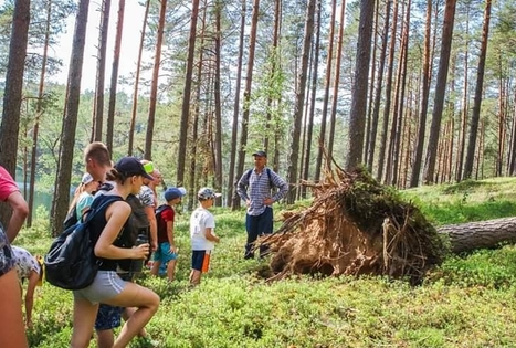 Sodyba „Stirnelės viensėdis“