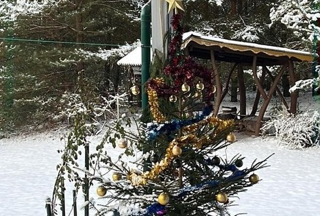 „Emilijos sodyba“