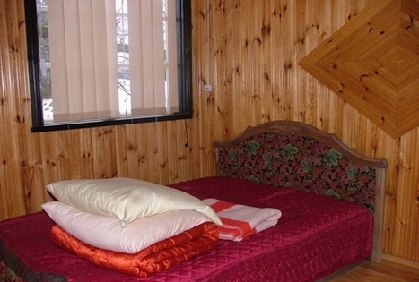 Homestead "Pas Nijolę"