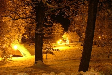 Homestead "Pas Nijolę"