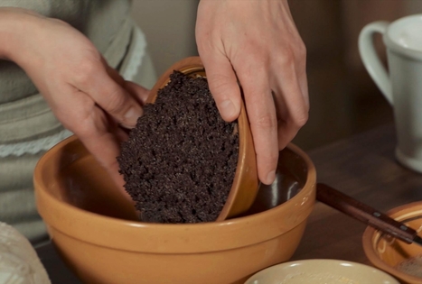 Pyragas „Aguoninis vyniotinis“ „Bernelių užeigoje“