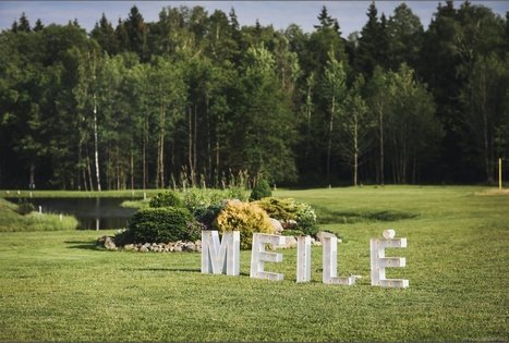 Homestead "Vilaitė"
