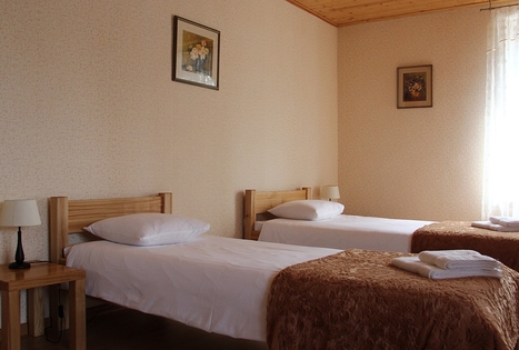 A. Ašmonienės sodyba