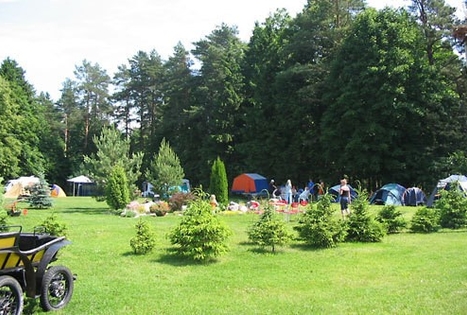 Homestead of Auda Peimienė "Pušyno stovykla"