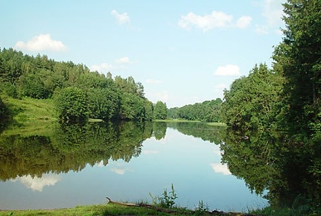 Homestead "Altonė"
