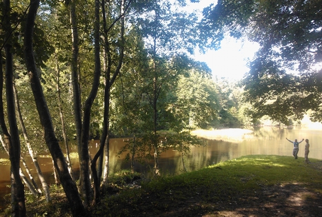 Homestead "Altonė"