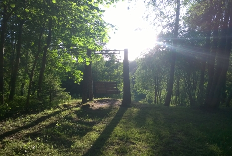 Homestead "Altonė"