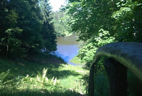 Homestead "Altonė"