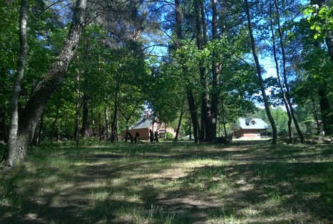 Homestead "Altonė"