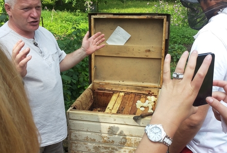 Mead tasting in homestead „Šušvė“