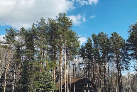 Dainiaus Spirikavičiaus sodyba